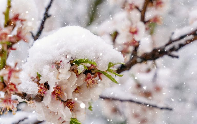 Meteo mese di Marzo: inizia già la stagione estrema