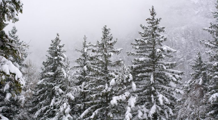 Meteo fine marzo: ultima decade tra maltempo, freddo e possibili nuove irruzioni artiche
