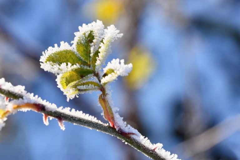 meteo-fine-marzo:-maltempo-e-rischio-artico
