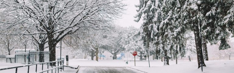 Meteo Alberta: forti nevicate in arrivo con accumuli fino a 25 centimetri