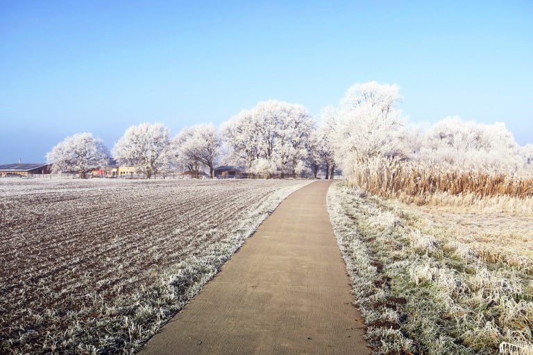 meteo-germania:-ritorna-il-gelo-a-maggio-per-i-santi-del-ghiaccio?-attenzione-al-freddo-tardivo