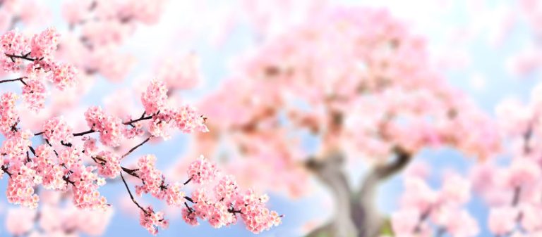 meteo-25-aprile:-importanti-novita-dietro-l’angolo