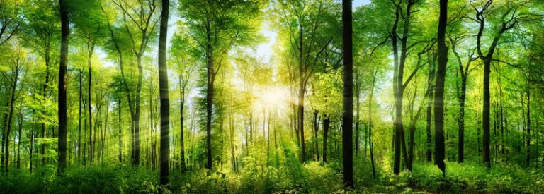 meteo-tra-aprile-e-maggio:-ritorno-dell’anticiclone