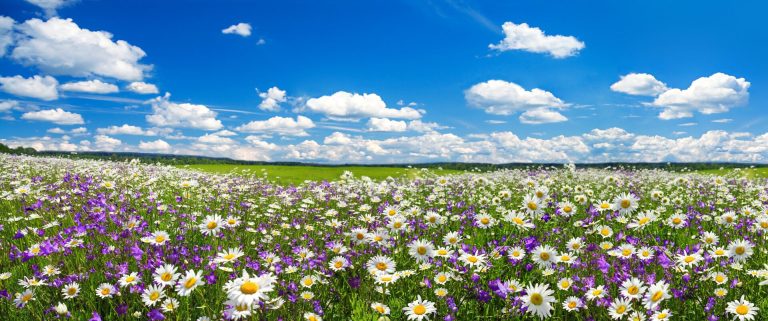 meteo-25-aprile-e-inizio-maggio:-nuovo-peggioramento-in-arrivo,-ma-c’e-speranza-per-il-weekend