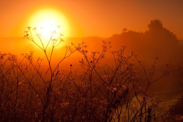 Meteo fine Maggio: caldo estremo che lascia senza parole