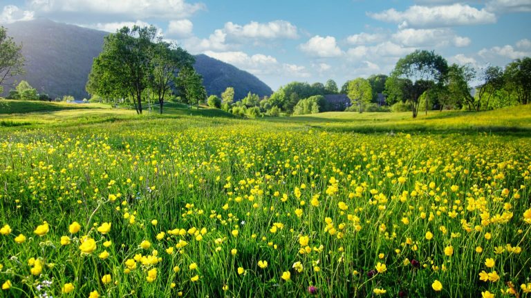 meteo-in-italia:-anticipo-d’estate-a-inizio-maggio-con-temperature-quasi-estive