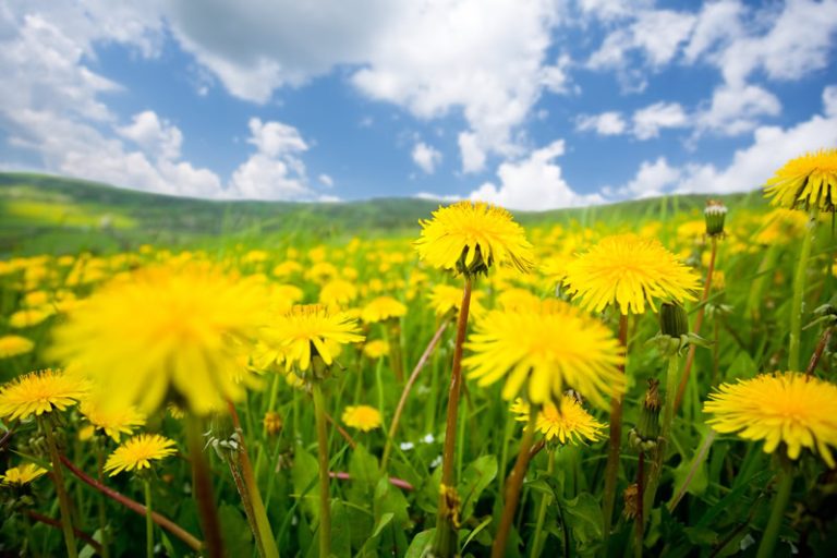 Meteo: torna l’Anticiclone e la stabilità. Fino a quando?