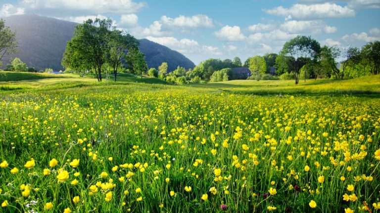 meteo-ponte-del-1°-maggio-2025:-sole,-caldo-e-clima-perfetto-per-le-vacanze