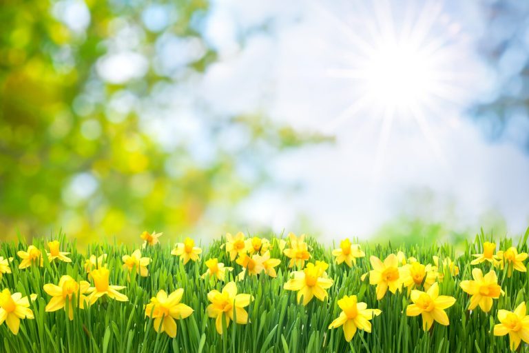Meteo primavera 2025: tra anticipi d’estate e fenomeni sempre più estremi