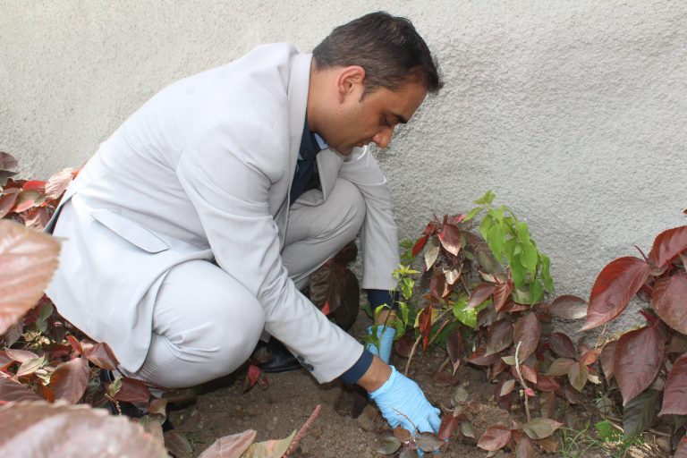 Marriott India strengthens the Green Commitment on World Environment Day 2025