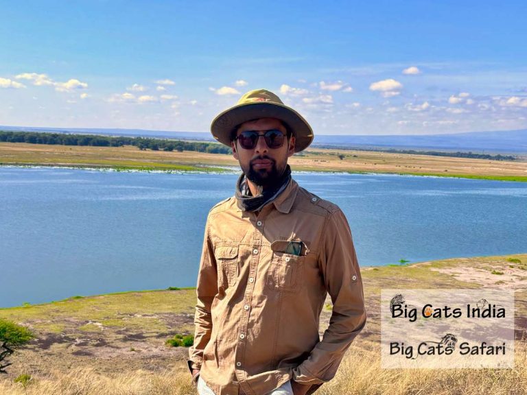 From Himalayas to Savannah: My Journey Across the World’s Big Cat Kingdoms