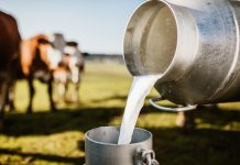 Hindustan Zinc’s Samadhan generates Diversified Farm Income of over ₹192 Cr for 1.4 Lakh Farmers