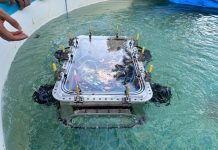 MIT Bengaluru Team to Represent India at the prestigious RoboSub 2026 in California