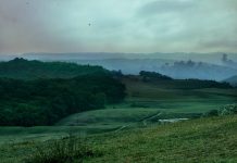 Home Ground: How Meghalaya Is Turning Local Families into the Future of Tourism