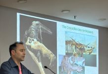 Ashoka University Hosts Global Palaeontology Expert Steve Brusatte for a Special Session on the Evolution of Dinosaurs
